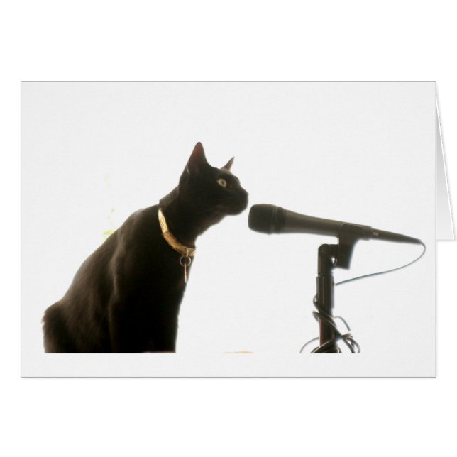 Not RCA (Front Horizontal)