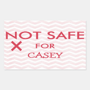 Not Safe Food for Special Diets Allergies Rectangular Sticker