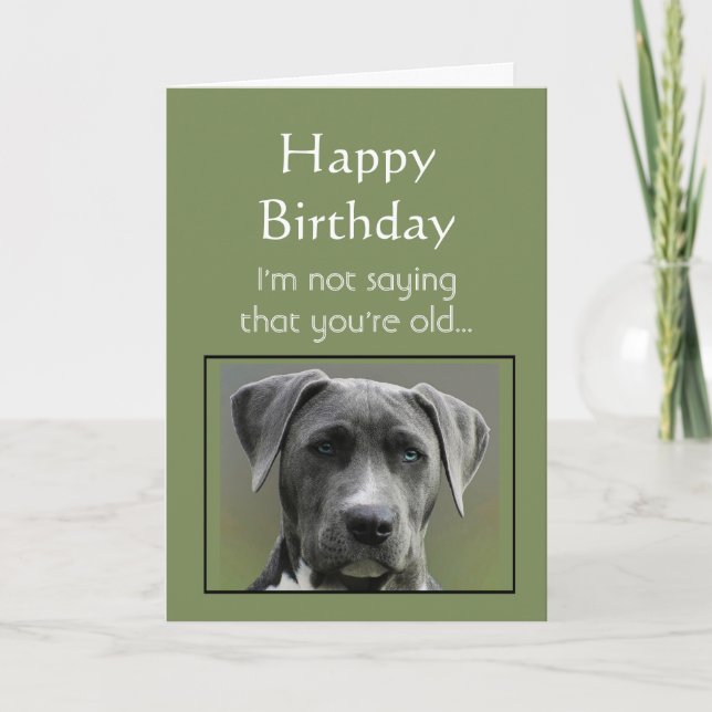 Not saying You're Old but Happy Birthday Fun Dog Card (Front)