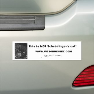 Not Schrödinger's cat bumper car magnet