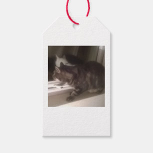 Not Talking to you Dave Gift Tags
