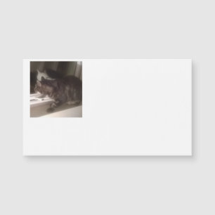 Not Talking to you Dave Magnetic Business Cards