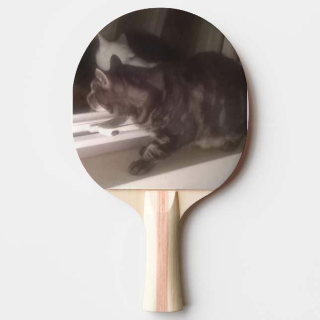 Not Talking to you Dave Ping Pong Paddle (Front)