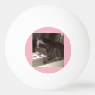 Not Talking to you Dave Three Star Ping Pong Ball