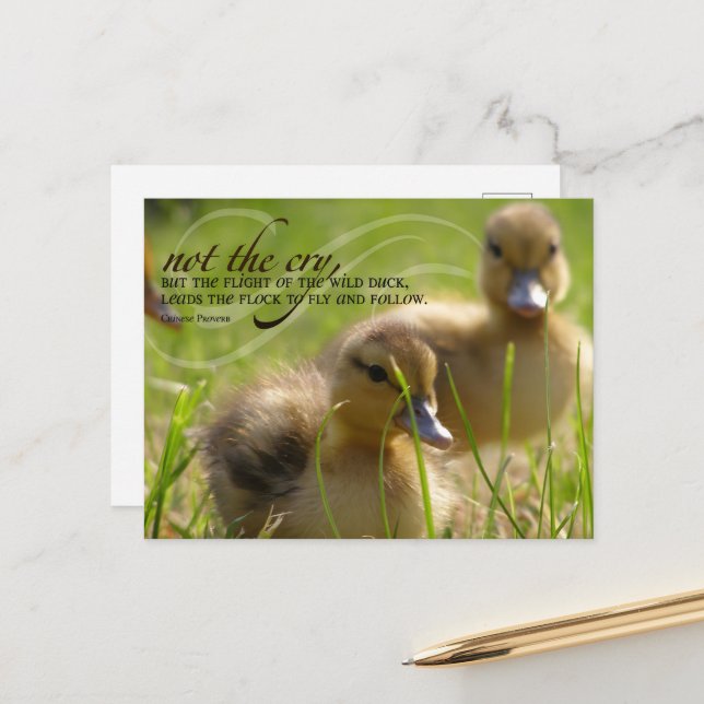 "Not the cry" Inspirational Leadership Quote Postcard (Front/Back In Situ)