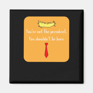 Not The President Magnet