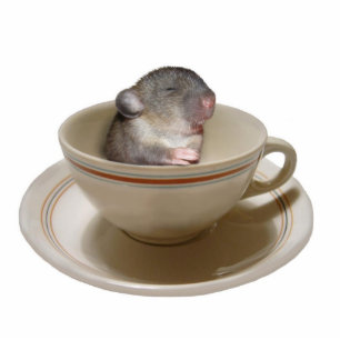 Not till I've had my coffee Photo Sculpture