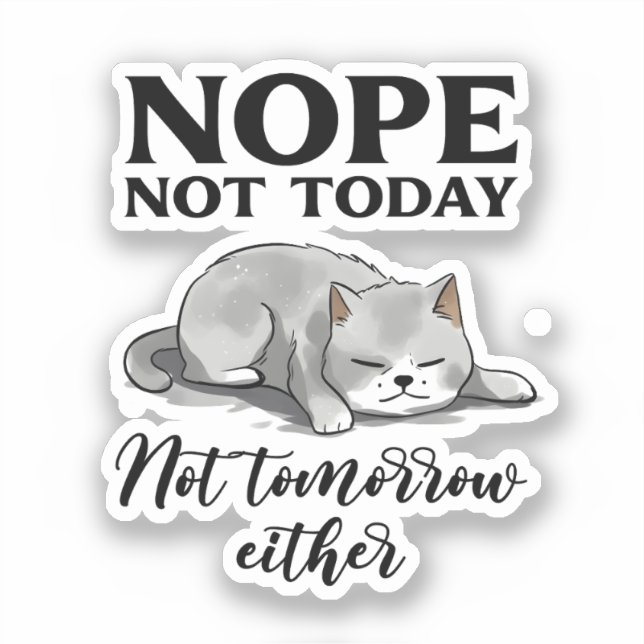 Not Today, Not Tomorrow – Sleepy Cat (Front)