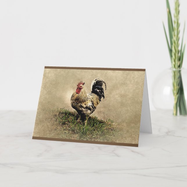 Not Too Chicken Rooster Birthday Card (Front)