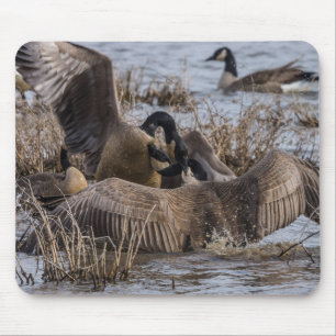 Not Wanted Here Mouse Mat