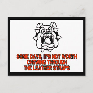 Not Worth Chewing Postcard