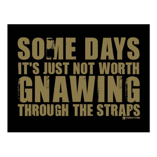 Not Worth Gnawing Through The Straps Postcard