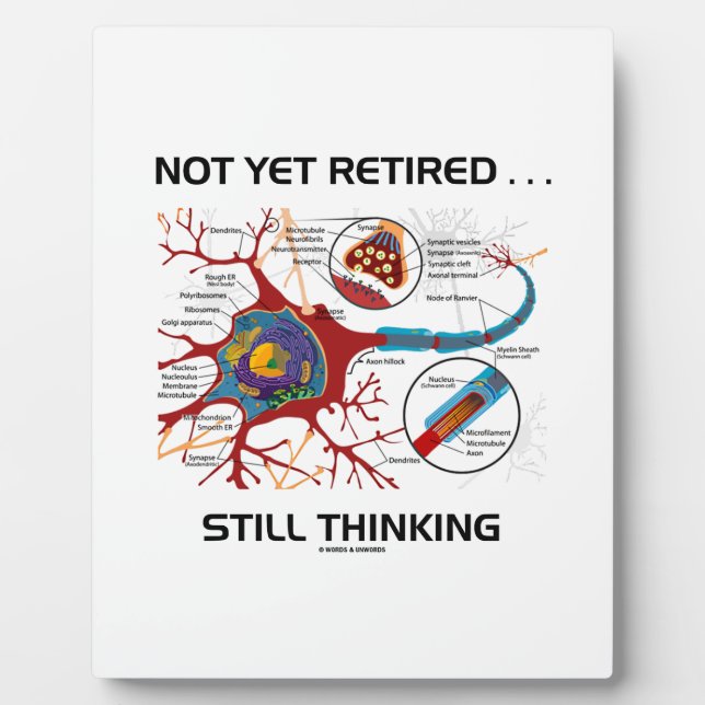 Not Yet Retired ... Still Thinking Neuron Synapse Plaque (Front)