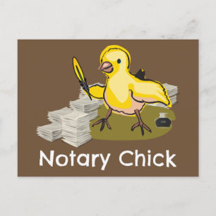 Notary Chick with Feather Quill and Documents Postcard