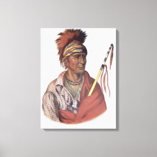 Notchimine or No Heart, an Iowa Chief Canvas Print