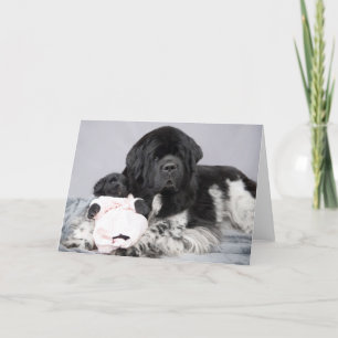 Note Bear Welcome Card