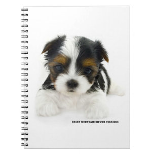 Note Book 80 Pages - Biewer Terrier Puppy