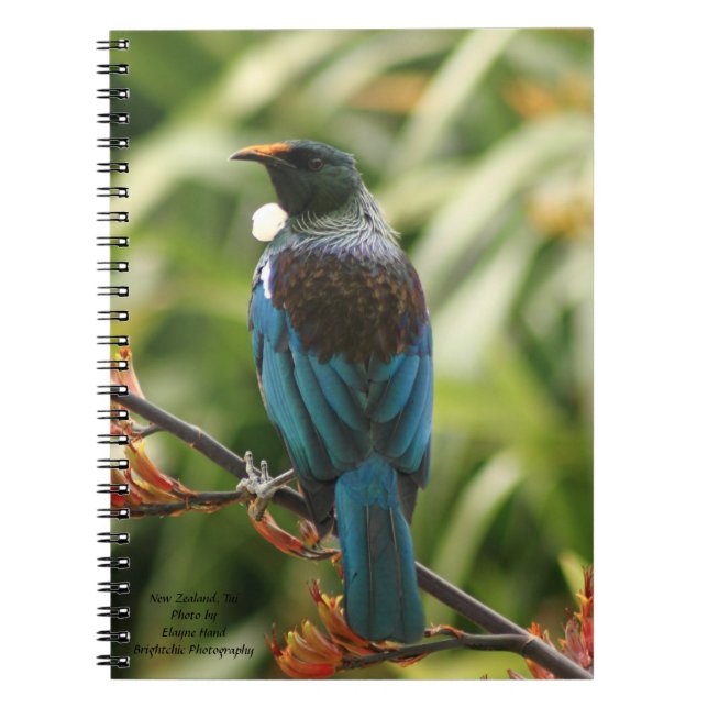 Note Book, New Zealand Tui Bird Notebook (Front)