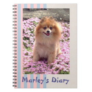 Note Book Pomeranian Pink Flowers