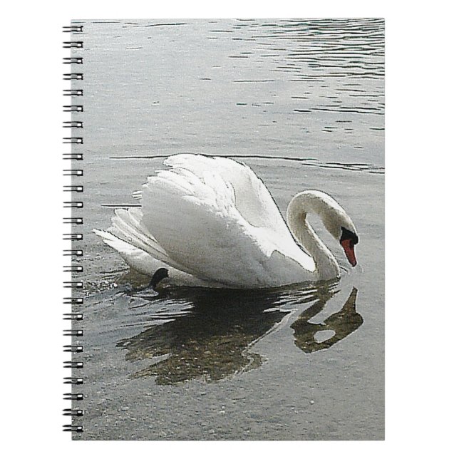 Note book white swan, reflecting in the grey water (Front)