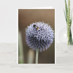 Note Card