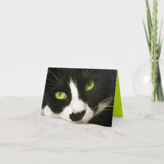 Note Card
