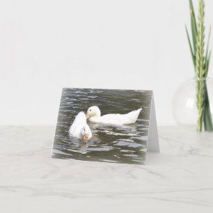 Note Card: Aylesbury Ducklings Card