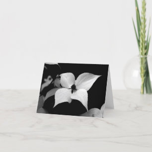 Note Card - B/W Dogwood