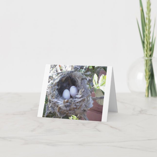 Note Card Blank Hummingbird Eggs (Front)