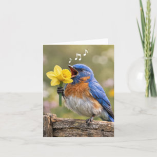 Note Card Bluebird Singing with a Yellow Daffodil