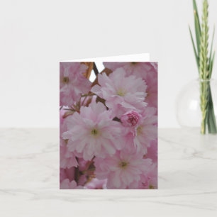 Note Card: Cherry Blossoms Card