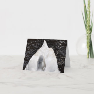 Note Card: Cygnet on Swan's Back Card