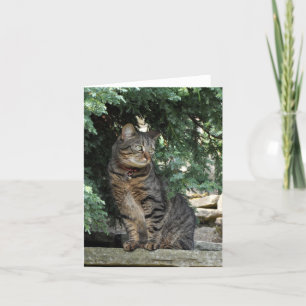 Note Card: Minnie Card