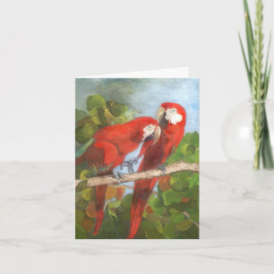 Note Card - Tropical Birds