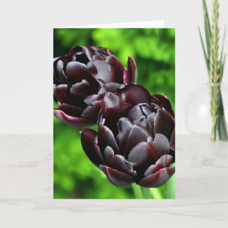 Note Card: Tulips Card