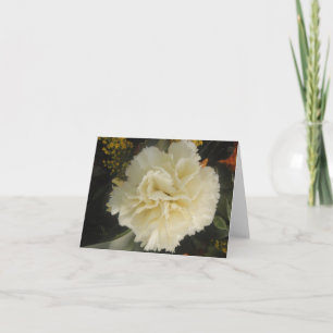 Note Card White Carnation Beauty