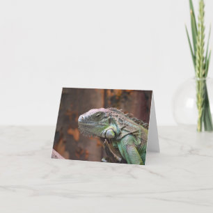 Note Card with colourful Iguana lizard