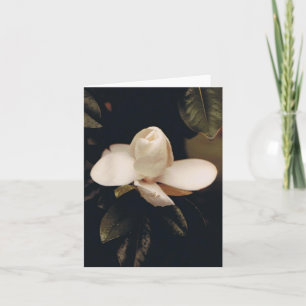 Note Card with Magnolia Blossom