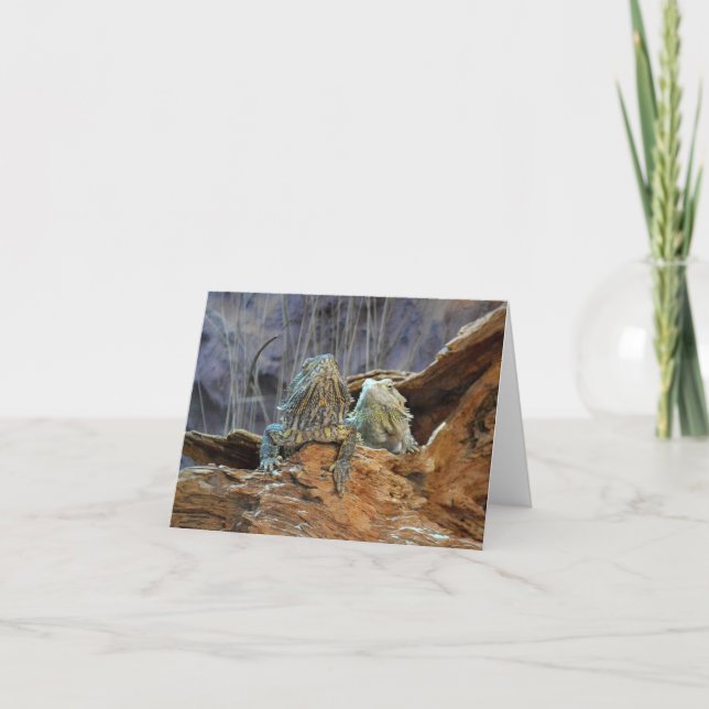 Note Card with two curious lizards (Front)