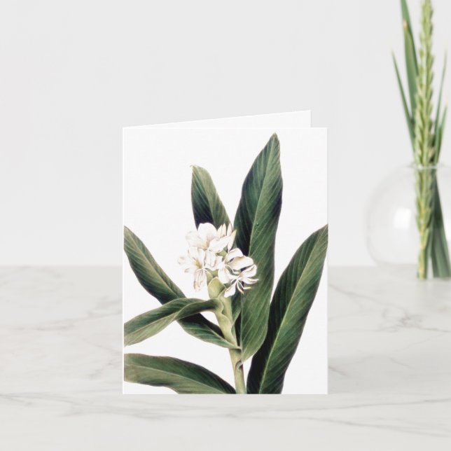 Note card with white flower (Front)
