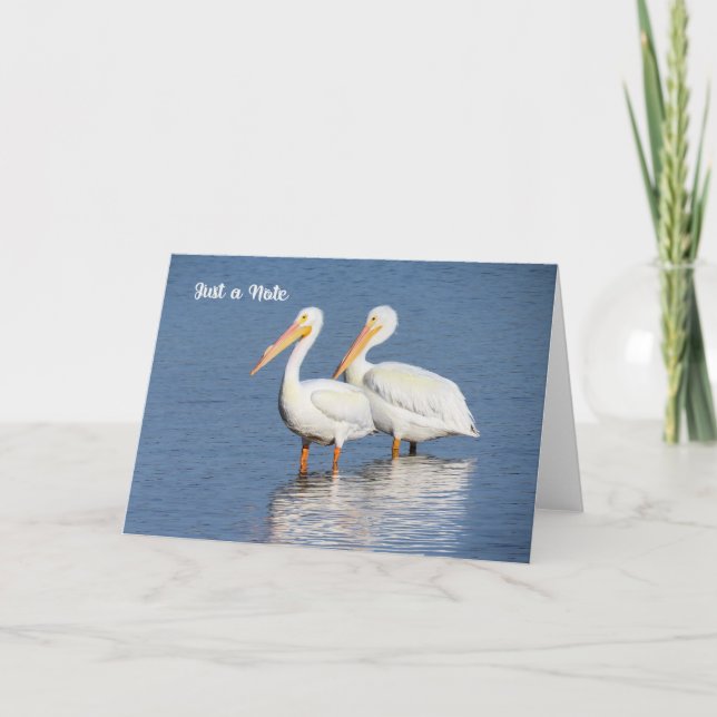 Note Card with White Pelicans (Front)