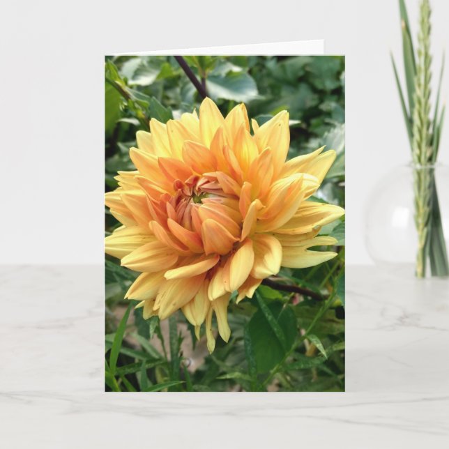 Note card with yellow dahlia (Front)