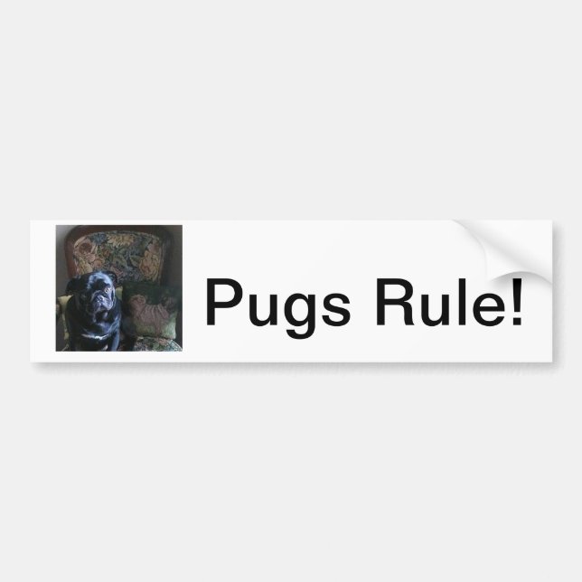 Note cards, bumper stickers, stickers (Front)