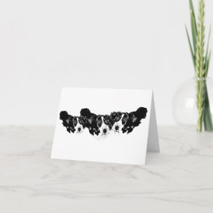 Note Cards : Collie