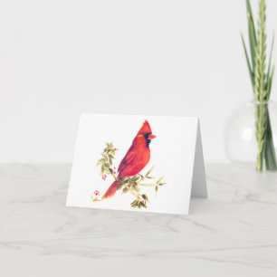 Note Cards-Male Cardinal Card