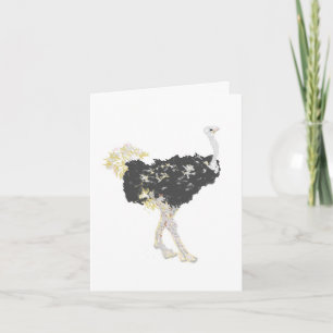 Note Cards : The Africa Ostriches 