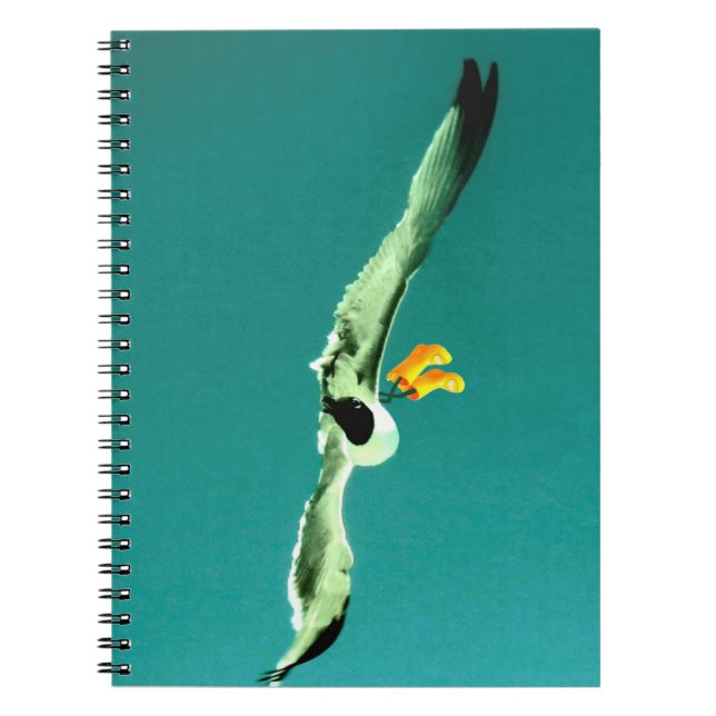  Notebook and seagull with rain boots (Front)