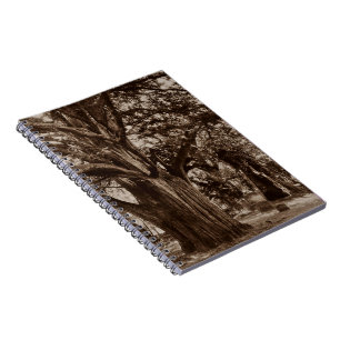 Notebook Journal Genealogy Graveyard Yew Stones