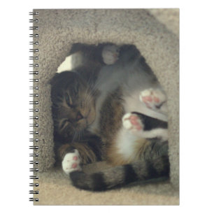 Notebook - Nap Like You're a Cat!