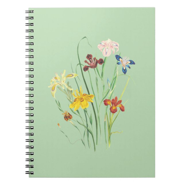 Notebook Nirvana: The Best Designs at Your  (Front)
